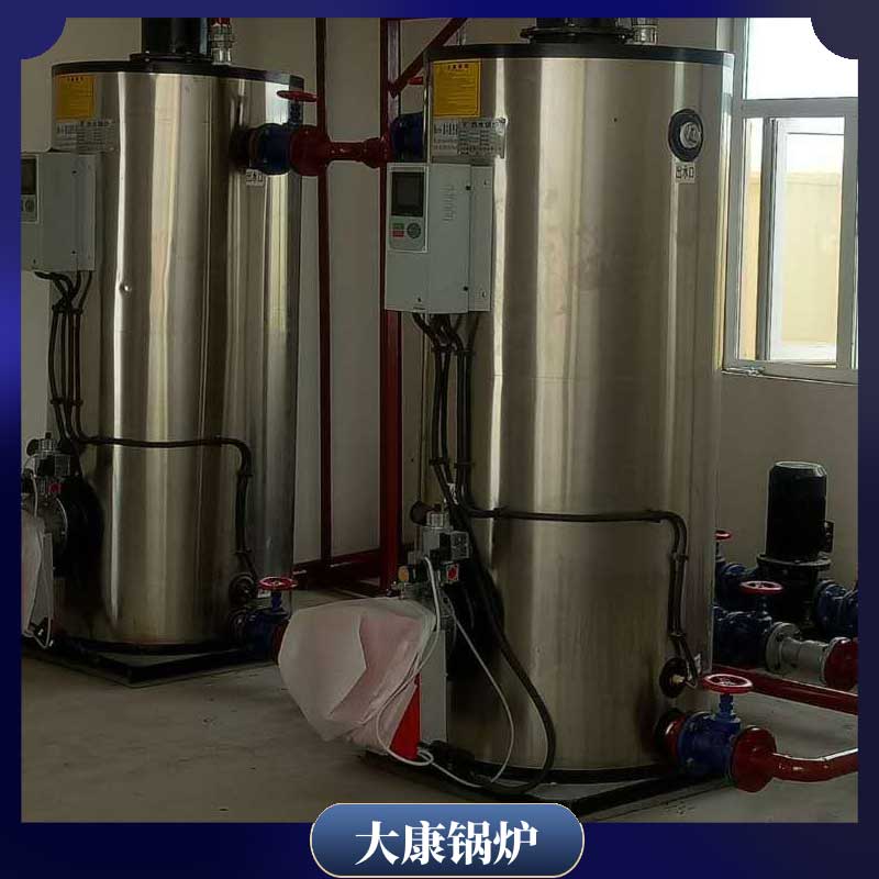 2800kw冷凝蒸汽鍋爐