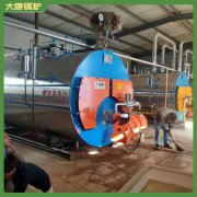 河南20萬大卡蒸汽鍋爐