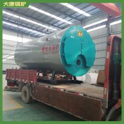 四川12噸熱水鍋爐