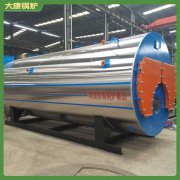 新疆490kw低氮蒸汽鍋爐