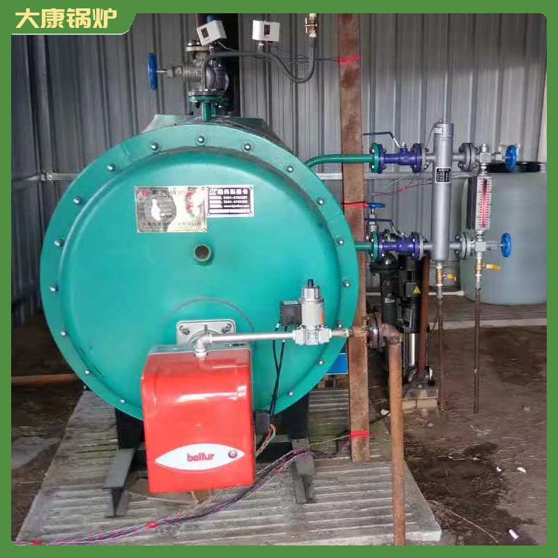 鍋爐生物質(zhì)鍋爐燃燒機(jī)河南大康鍋爐有限公司0.2t的鍋爐